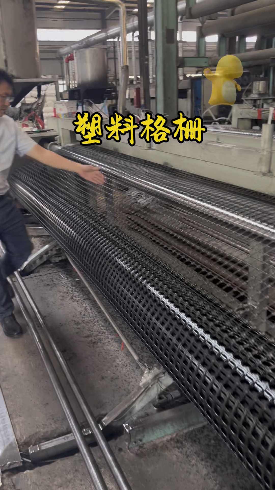TGSG双向塑料土工格栅 工程加固的可靠之选